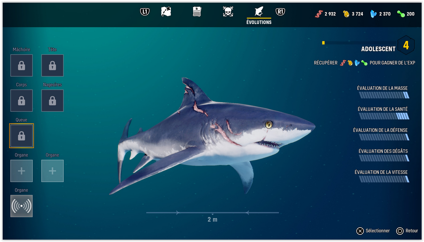 Screen Shot 05-22-20 at 05.09 PM 001